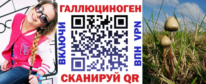 Галлюциногенные грибы Psilocybe Купить закладки Балабаново